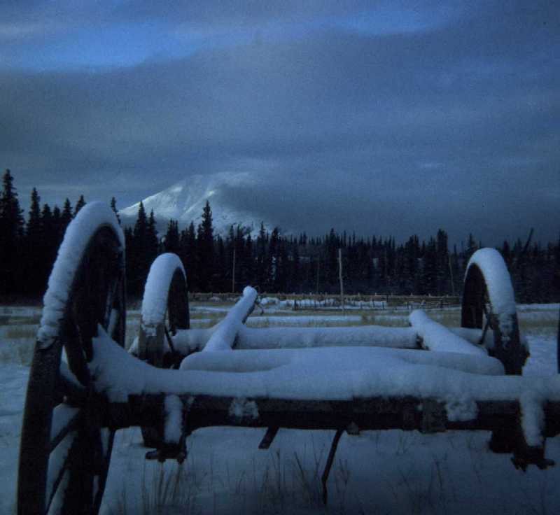 Wagon Winter Wonderland - Gregory Bryce - Dec. 22, 1974 (680 x 574)
